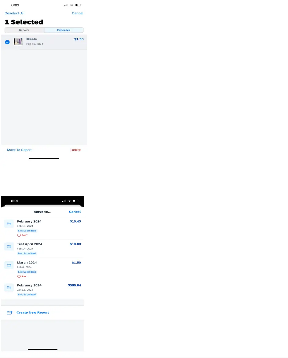 Concur Expense Mobile Process