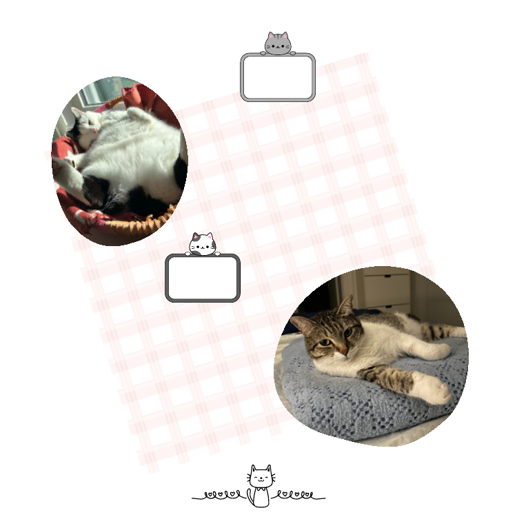 Kit_Kat_Factory : simplebooklet.com